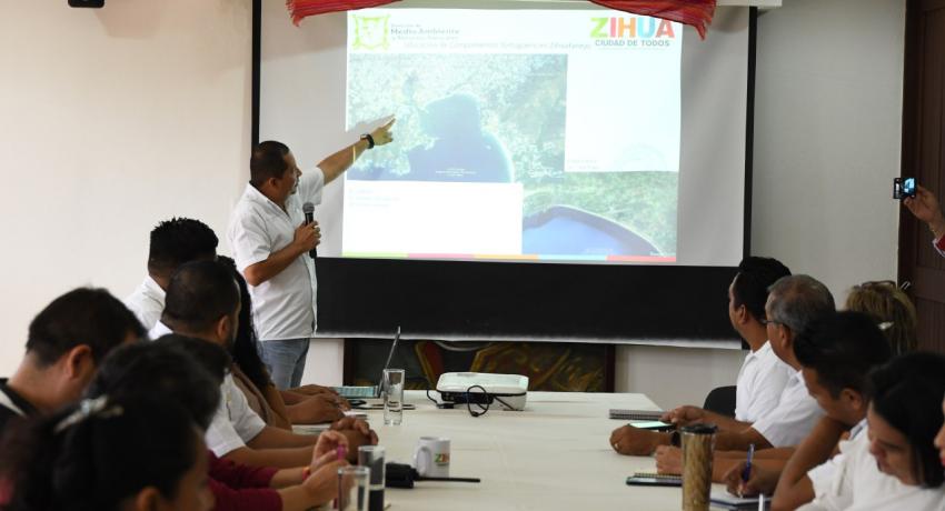 Conservación de la tortuga