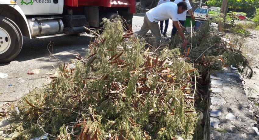 Zihuatanejo siempre limpio