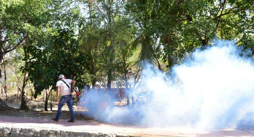  campaña Dale Vuelta al Mosquito