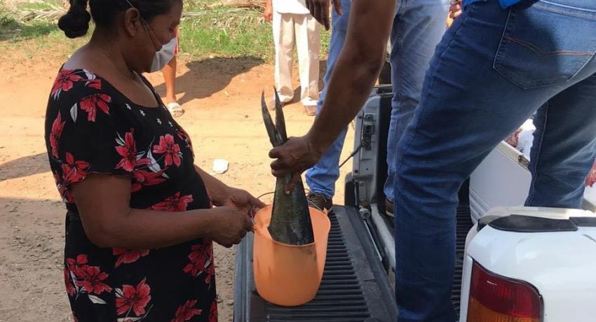 Cooperativa pesquera suman esfuerzos por covid-19