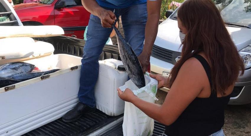 Cooperativa pesquera suman esfuerzos por covid-19