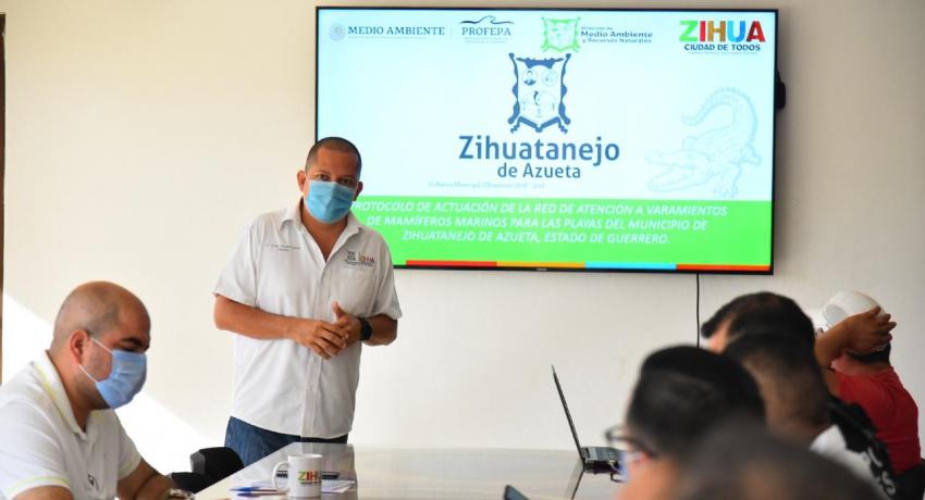 Crea comité de protección a las ballenas