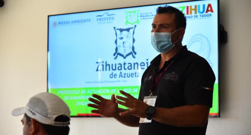 Crea comité de protección a las ballenas