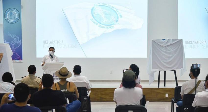 El año de las ballenas