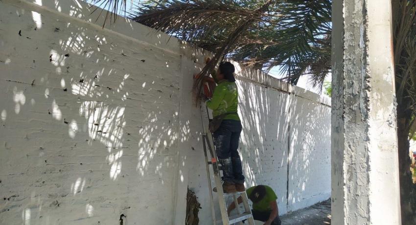 Gobierno de Jorge Sánchez Allec intensifica limpieza de panteones 