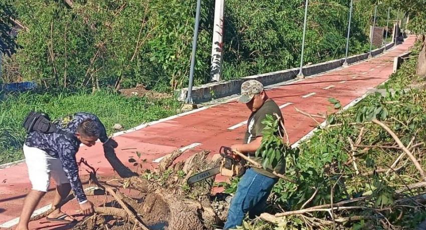 Presidente Jorge Sánchez supervisa trabajos de limpieza tras el paso de huracán Rick