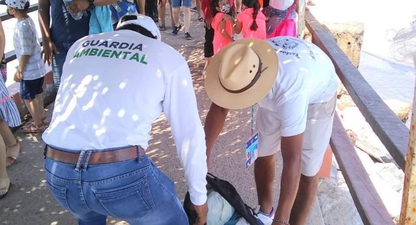 Con Reglamento de Uso de Playas, Zihuatanejo cuenta con playas limpias y certificadas.