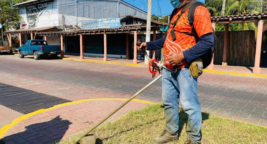 Servicios Públicos mantiene en óptimas condiciones las áreas verdes de la ciudad.