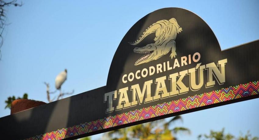 Presidente Jorge Sánchez inaugura Cocodrilario que llevaré por nombre “Tamakún”.