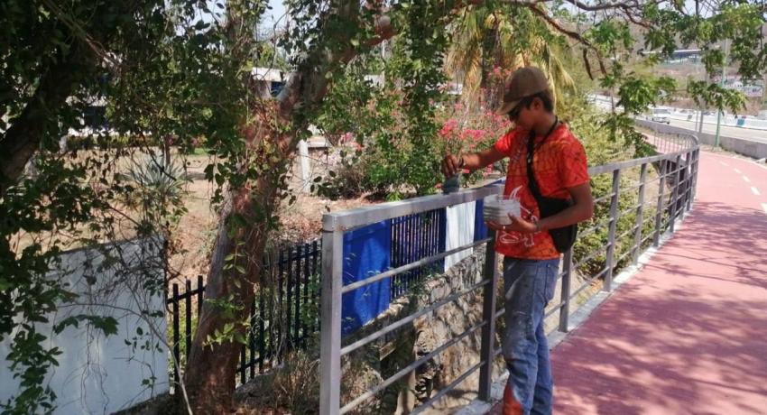 Servicios Públicos mejora imagen de diferentes espacios con trabajos de pintura