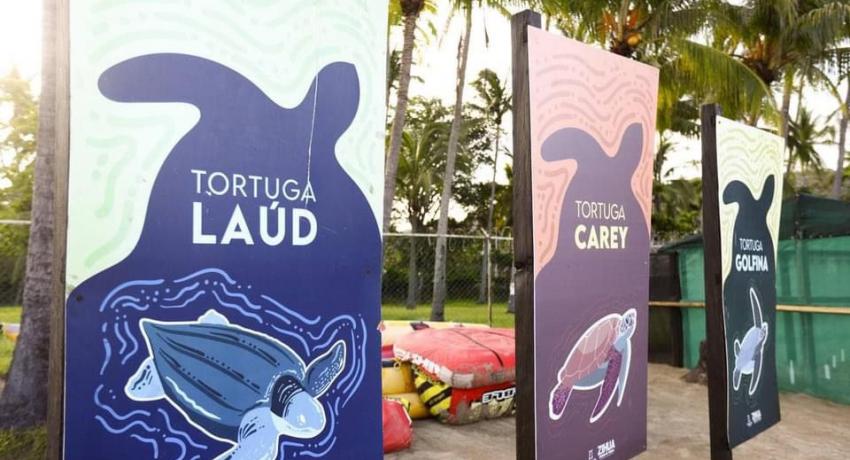 Gobierno de Zihuatanejo reitera su compromiso con el medio ambiente