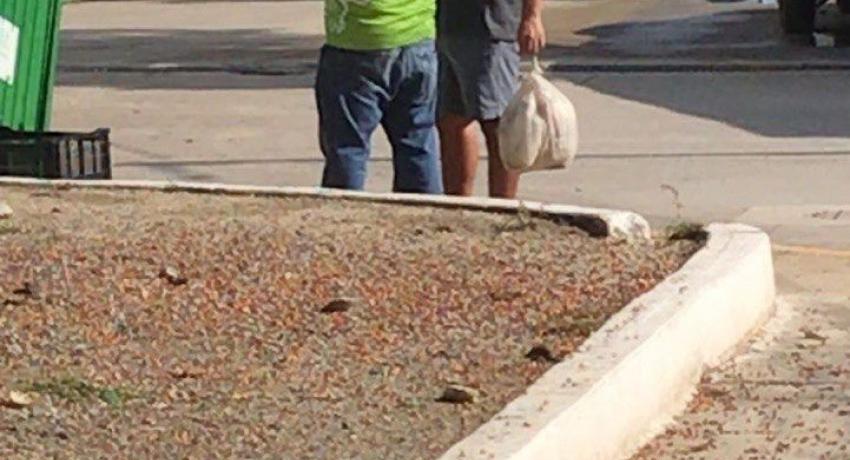 Gobierno de Zihuatanejo activa guardias ambientales para intensificar la limpieza de la ciudad. 