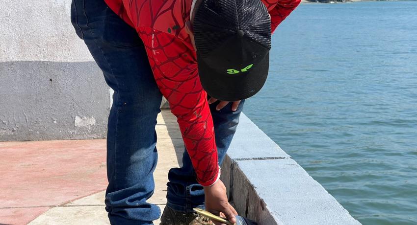 Gobierno de Zihuatanejo listo para recibir el primer crucero de la temporada 