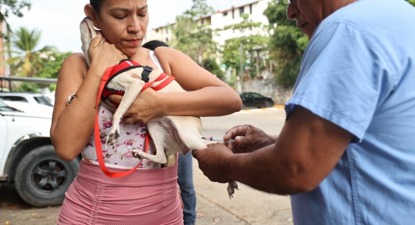 Personal del Centro de Bienestar Animal realizó campaña de vacunación antirrábica.