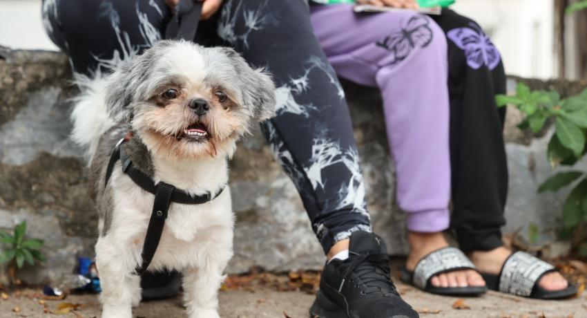 Personal del Centro de Bienestar Animal realizó campaña de vacunación antirrábica.