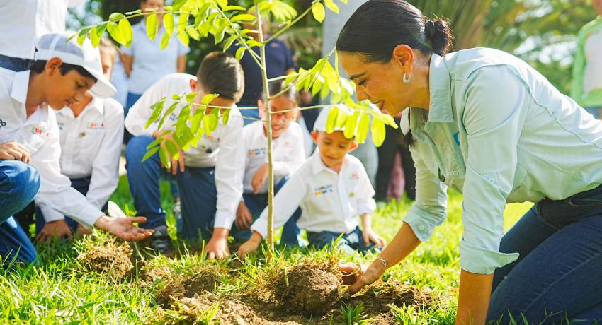 Intensa campaña de reforestación en Zihuatanejo.