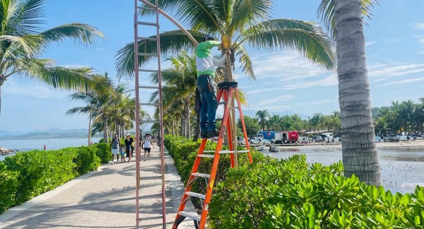 Gobierno Municipal de Zihuatanejo realiza colocación de luminarias.